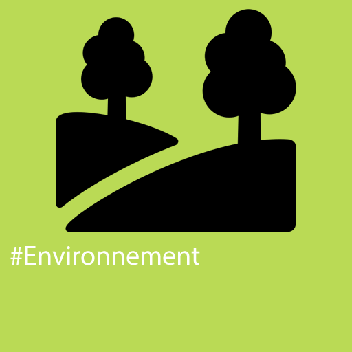 Environnement 